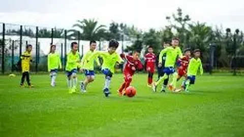 周雅琴成功卫冕平衡木冠军，张怡涵勇夺自由操金牌