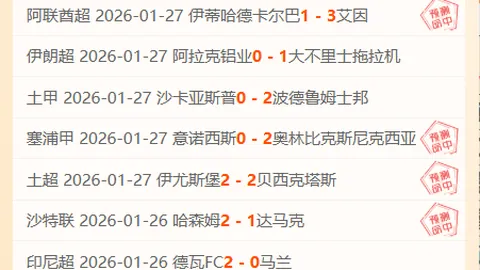 貝林厄姆西甲處子戰無得分，進球紀錄暫停！